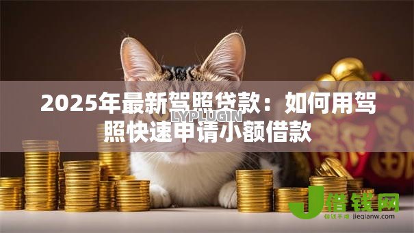 2025年最新驾照贷款：如何用驾照快速申请小额借款