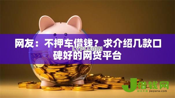 网友：不押车借钱？求介绍几款口碑好的网贷平台