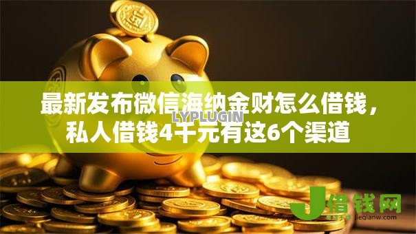 最新发布微信海纳金财怎么借钱,私人借钱4千元有这6个渠道 最新发布微信海纳金财怎么借钱,私人借钱4千元有这6个渠道