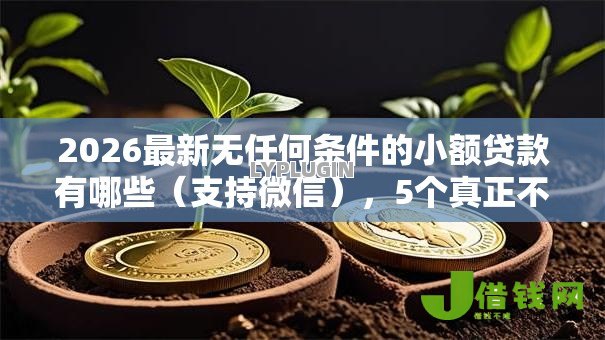 2026最新无任何条件的小额贷款有哪些（支持微信），5个真正不查征信的贷款平台无私分享
