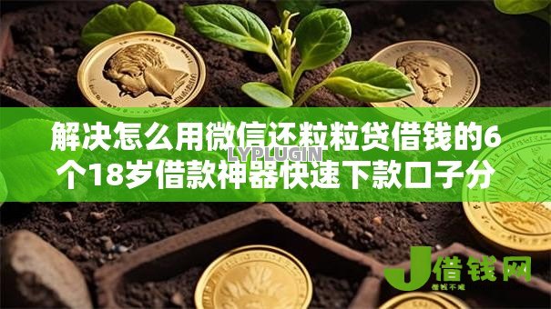 解决怎么用微信还粒粒贷借钱的6个18岁借款神器快速下款口子分享