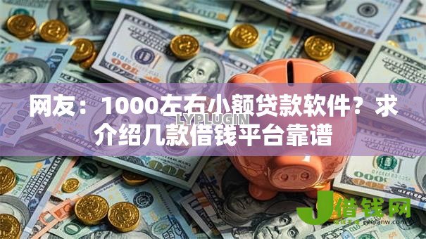 网友：1000左右小额贷款软件？求介绍几款借钱平台靠谱