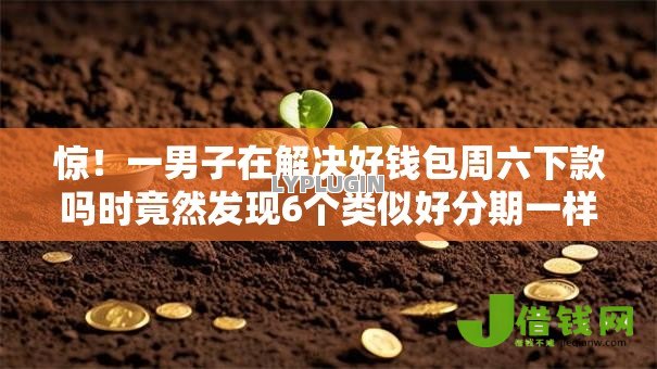惊！一男子在解决好钱包周六下款吗时竟然发现6个类似好分期一样容易下款的软件，事后分享了出来