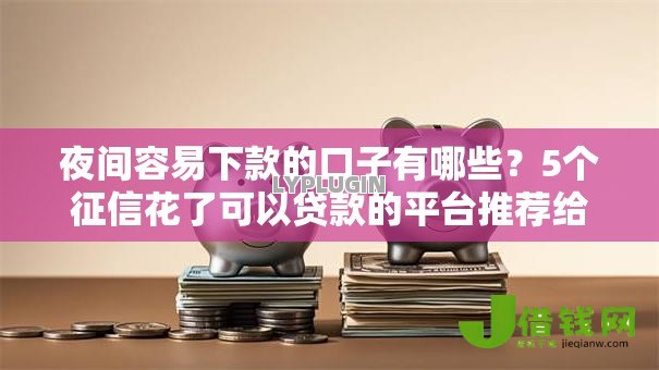 夜间容易下款的口子有哪些？5个征信花了可以贷款的平台推荐给你