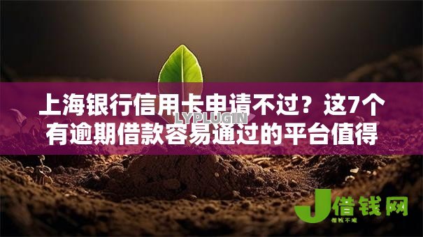 上海银行信用卡申请不过?这7个有逾期借款容易通过的平台值得一试 上海银行信用卡申请不过?这7个有逾期借款容易通过的平台值得一试
