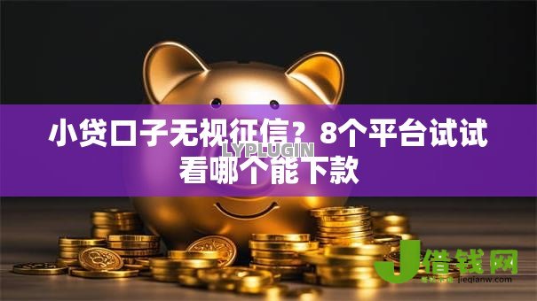 小贷口子无视征信？8个平台试试看哪个能下款