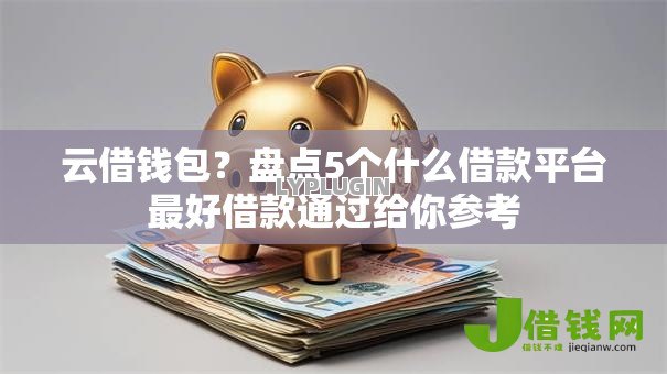 云借钱包？盘点5个什么借款平台最好借款通过给你参考