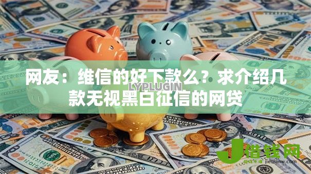网友：维信的好下款么？求介绍几款无视黑白征信的网贷