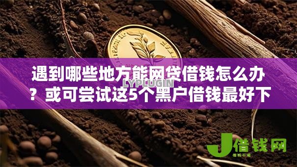遇到哪些地方能网贷借钱怎么办？或可尝试这5个黑户借钱最好下款平台
