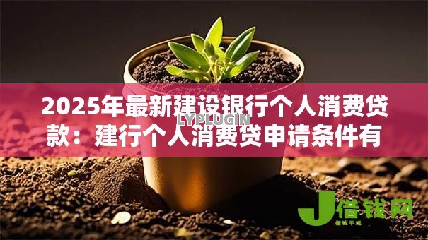 2025年最新建设银行个人消费贷款：建行个人消费贷申请条件有哪些
