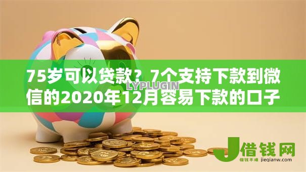 75岁可以贷款？7个支持下款到微信的2020年12月容易下款的口子