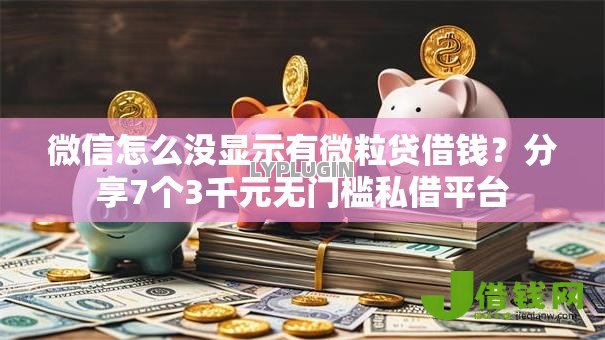 微信怎么没显示有微粒贷借钱？分享7个3千元无门槛私借平台