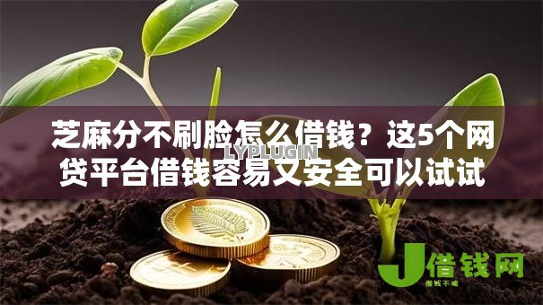 芝麻分不刷脸怎么借钱?这5个网贷平台借钱容易又安全可以试试 芝麻分不刷脸怎么借钱?这5个网贷平台借钱容易又安全可以试试