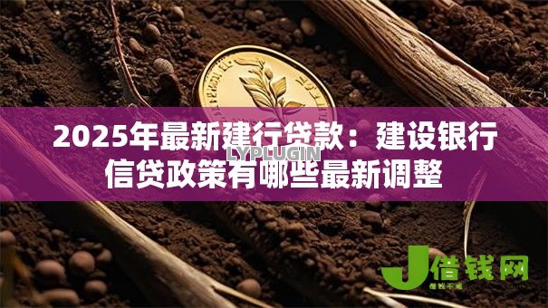 2025年最新建行贷款：建设银行信贷政策有哪些最新调整