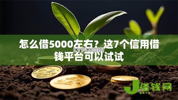 怎么借5000左右？这7个信用借钱平台可以试试