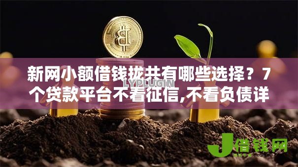 新网小额借钱拢共有哪些选择?7个贷款平台不看征信,不看负债详解 新网小额借钱拢共有哪些选择?7个贷款平台不看征信,不看负债详解