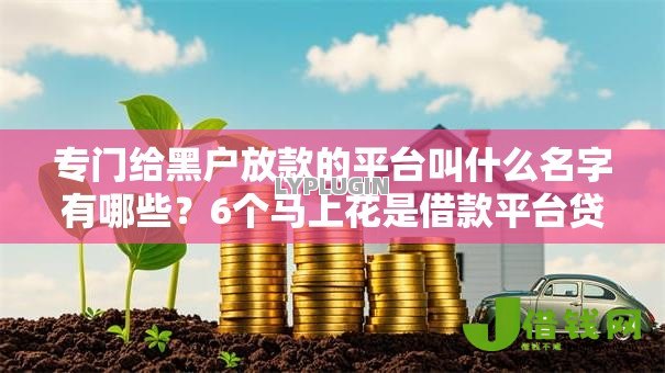 专门给黑户放款的平台叫什么名字有哪些？6个马上花是借款平台贷款推荐给你