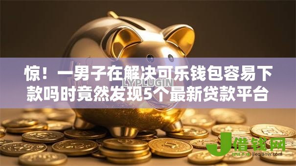 惊！一男子在解决可乐钱包容易下款吗时竟然发现5个最新贷款平台，事后分享了出来
