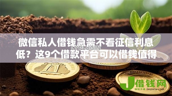微信私人借钱急需不看征信利息低？这9个借款平台可以借钱值得一试