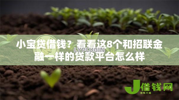 小宝贷借钱?看看这8个和招联金融一样的贷款平台怎么样 小宝贷借钱?看看这8个和招联金融一样的贷款平台怎么样