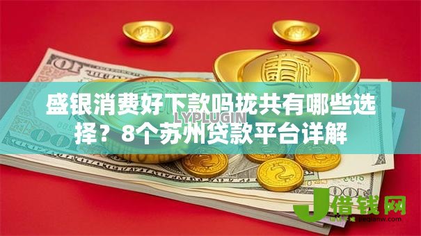 盛银消费好下款吗拢共有哪些选择?8个苏州贷款平台详解 盛银消费好下款吗拢共有哪些选择?8个苏州贷款平台详解