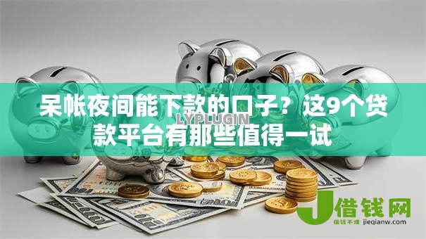 呆帐夜间能下款的口子?这9个贷款平台有那些值得一试 呆帐夜间能下款的口子?这9个贷款平台有那些值得一试