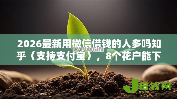 2026最新用微信借钱的人多吗知乎（支持支付宝），8个花户能下款的平台无私分享