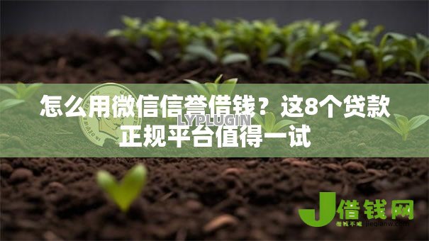 怎么用微信信誉借钱？这8个贷款正规平台值得一试