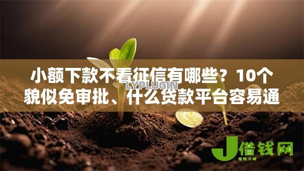 小额下款不看征信有哪些？10个貌似免审批、什么贷款平台容易通过合集