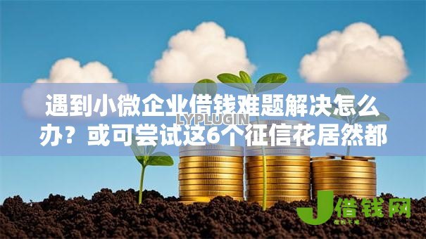 遇到小微企业借钱难题解决怎么办?或可尝试这6个征信花居然都下款了的软件 遇到小微企业借钱难题解决怎么办?或可尝试这6个征信花居然都下款了的软件