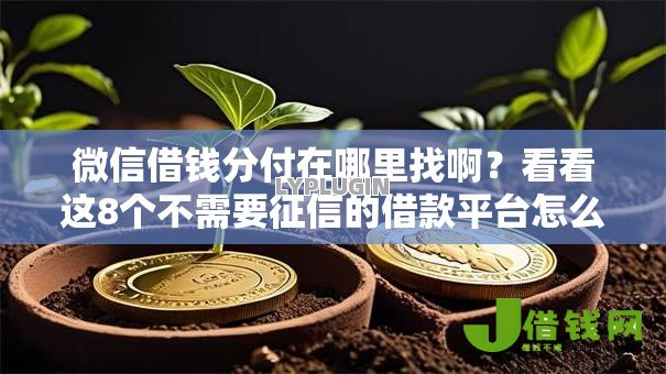 微信借钱分付在哪里找啊？看看这8个不需要征信的借款平台怎么样