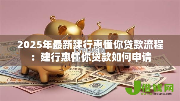 2025年最新建行惠懂你贷款流程：建行惠懂你贷款如何申请