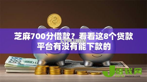 芝麻700分借款？看看这8个贷款平台有没有能下款的