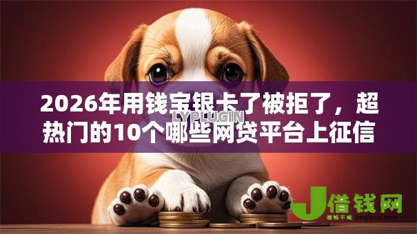2026年用钱宝银卡了被拒了，超热门的10个哪些网贷平台上征信推荐