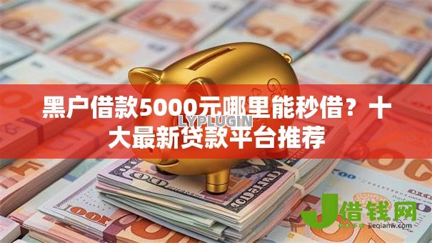 黑户借款5000元哪里能秒借？十大最新贷款平台推荐