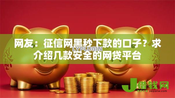 网友：征信网黑秒下款的口子？求介绍几款安全的网贷平台