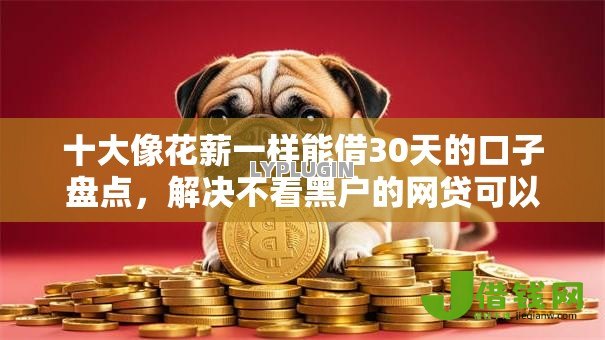 十大像花薪一样能借30天的口子盘点，解决不看黑户的网贷可以吗的问题