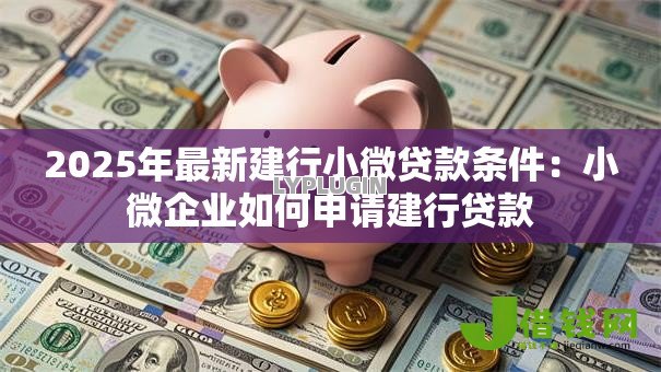2025年最新建行小微贷款条件：小微企业如何申请建行贷款