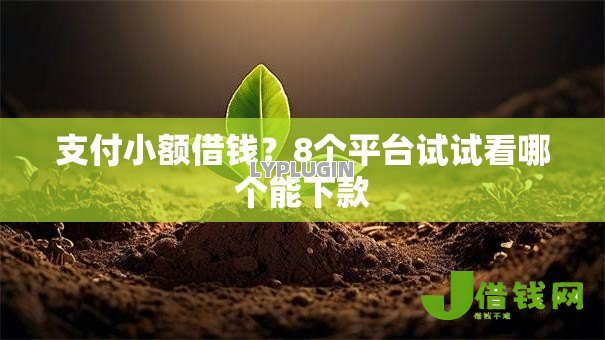 支付小额借钱？8个平台试试看哪个能下款