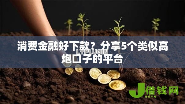 消费金融好下款？分享5个类似高炮口子的平台