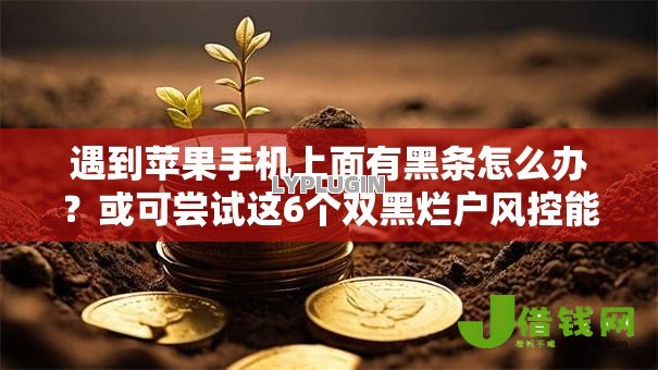 遇到苹果手机上面有黑条怎么办？或可尝试这6个双黑烂户风控能下款5000口子