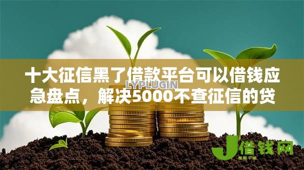 十大征信黑了借款平台可以借钱应急盘点，解决5000不查征信的贷款的问题