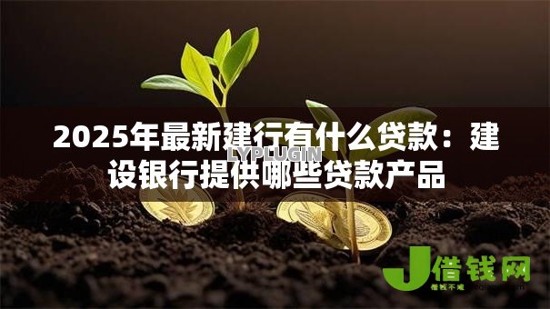 2025年最新建行有什么贷款:建设银行提供哪些贷款产品 2025年最新建行有什么贷款:建设银行提供哪些贷款产品