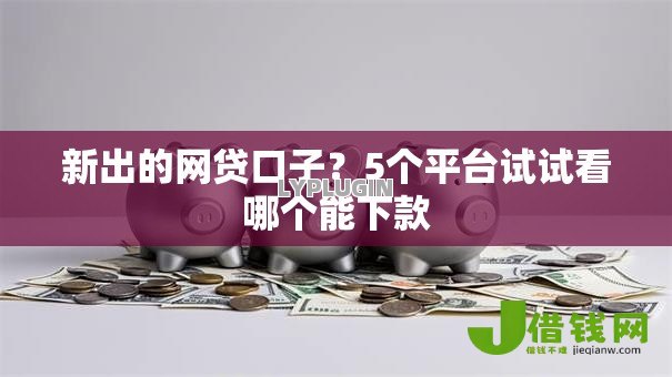 新出的网贷口子？5个平台试试看哪个能下款