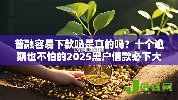普融容易下款吗是真的吗？十个逾期也不怕的2025黑户借款必下大额口子