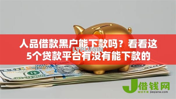 人品借款黑户能下款吗？看看这5个贷款平台有没有能下款的