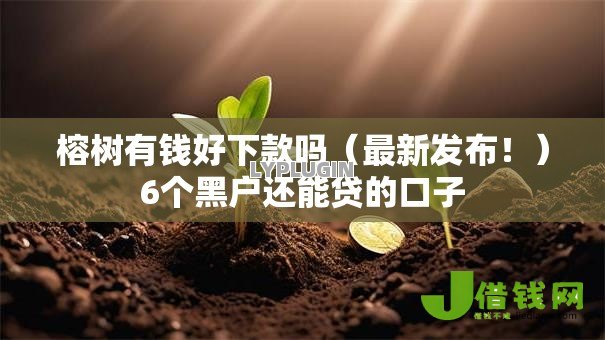 榕树有钱好下款吗（最新发布！）6个黑户还能贷的口子
