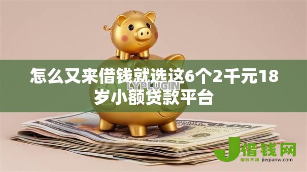 怎么又来借钱就选这6个2千元18岁小额贷款平台