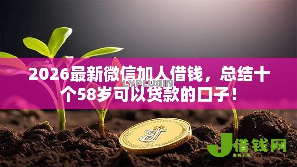 2026最新微信加人借钱,总结十个58岁可以贷款的口子! 2026最新微信加人借钱,总结十个58岁可以贷款的口子!