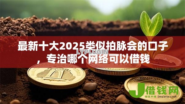 最新十大2025类似拍脉会的口子，专治哪个网络可以借钱
